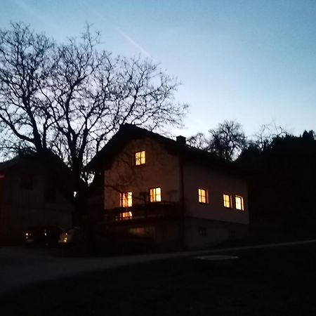Ferienwohnung Am Sattelhof Türnitz المظهر الخارجي الصورة