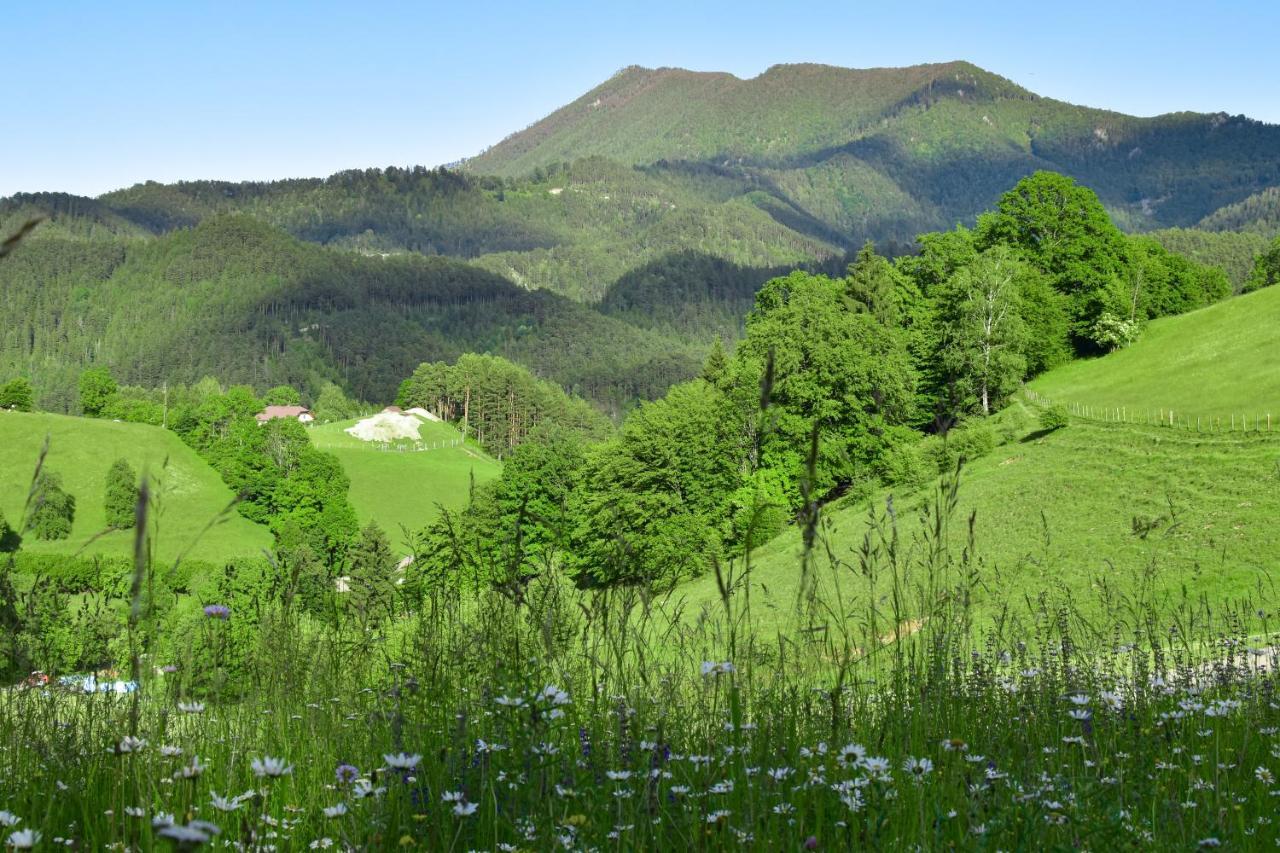 Ferienwohnung Am Sattelhof Türnitz المظهر الخارجي الصورة